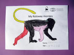 Kind aus Ghana hat eine Roloway-Meerkatze ausgemalt