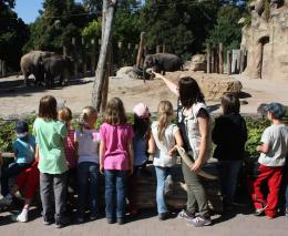 Zoo-Unterricht bei den Elefanten